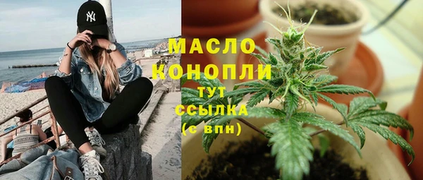 СК Алексин
