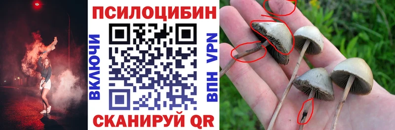 Галлюциногенные грибы прущие грибы  Югорск 