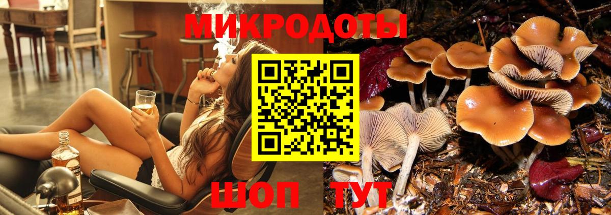 Псилоцибиновые грибы мицелий Югорск