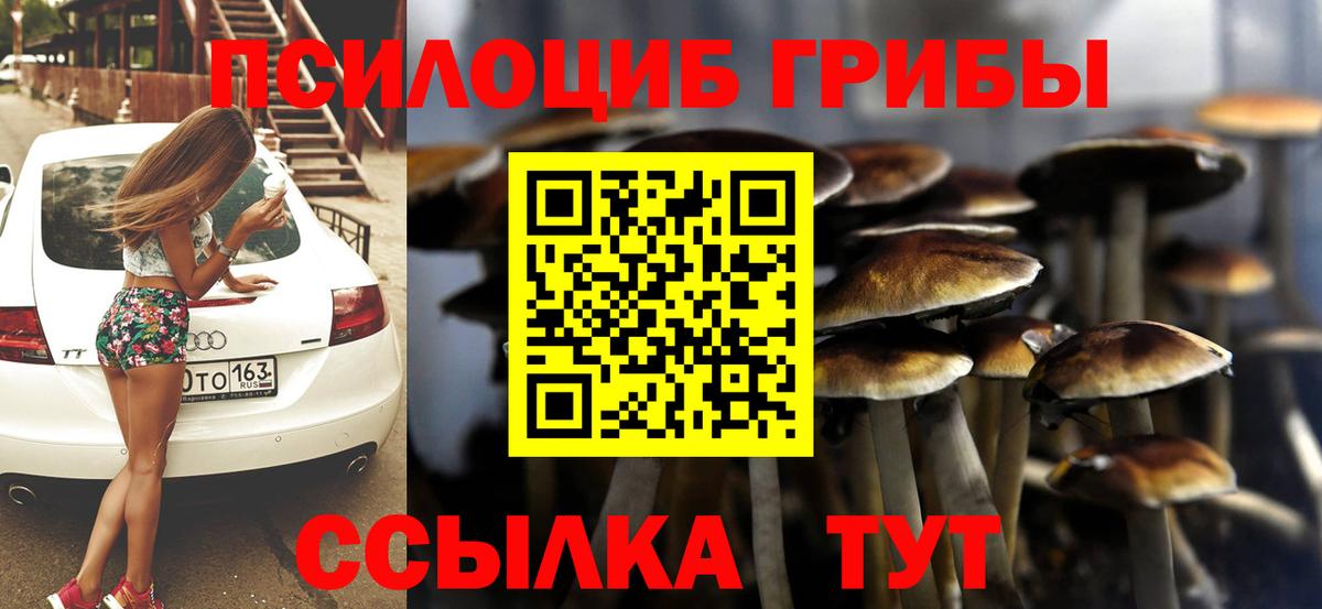 Югорск  Псилоцибиновые грибы Psilocybine cubensis  Вход с VPN  Псилоцибиновые грибы мицелий 